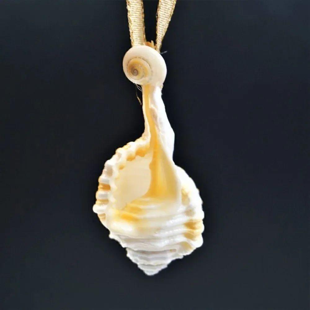Vintage Conch Seashell Christmas Ornament Ocean Nature Nautical